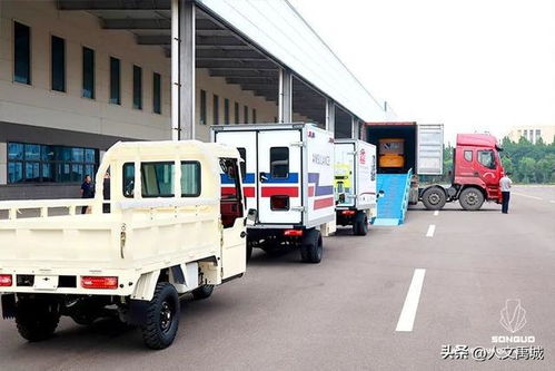 禹城松果三輪車 創新驅動產品出口與本地汽車出租服務新業態